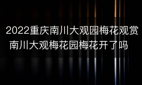2022重庆南川大观园梅花观赏 南川大观梅花园梅花开了吗