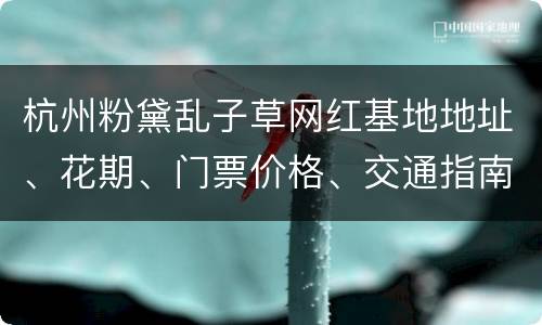 杭州粉黛乱子草网红基地地址、花期、门票价格、交通指南