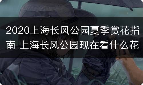 2020上海长风公园夏季赏花指南 上海长风公园现在看什么花