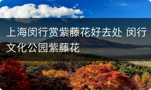 上海闵行赏紫藤花好去处 闵行文化公园紫藤花