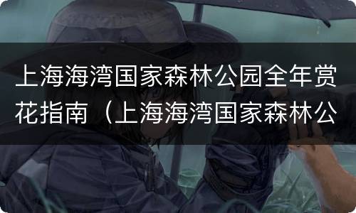 上海海湾国家森林公园全年赏花指南（上海海湾国家森林公园一日游）