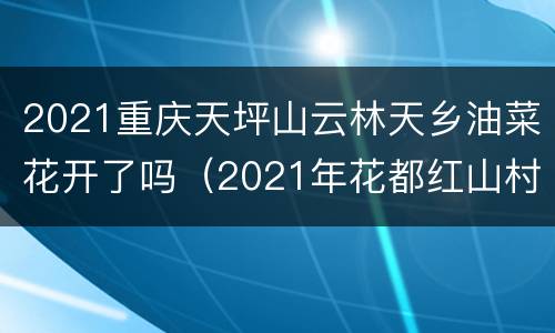 2021重庆天坪山云林天乡油菜花开了吗（2021年花都红山村油菜花现在开了吗）