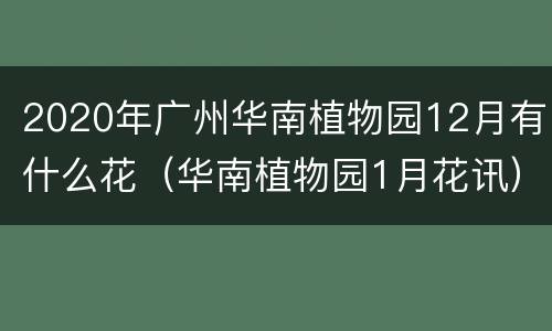 2020年广州华南植物园12月有什么花（华南植物园1月花讯）