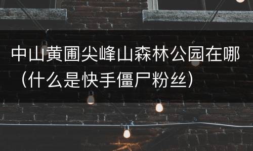 中山黄圃尖峰山森林公园在哪（什么是快手僵尸粉丝）