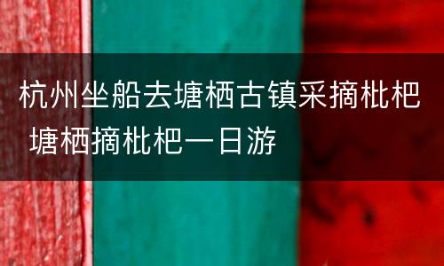 杭州坐船去塘栖古镇采摘枇杷 塘栖摘枇杷一日游