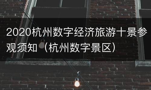 2020杭州数字经济旅游十景参观须知（杭州数字景区）