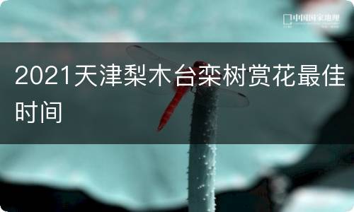2021天津梨木台栾树赏花最佳时间