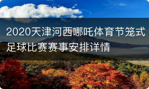 2020天津河西哪吒体育节笼式足球比赛赛事安排详情