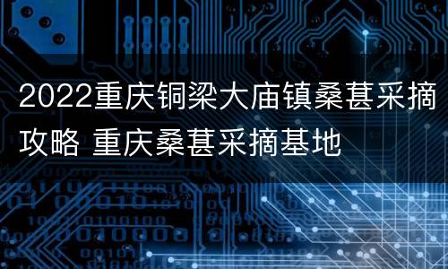 2022重庆铜梁大庙镇桑葚采摘攻略 重庆桑葚采摘基地