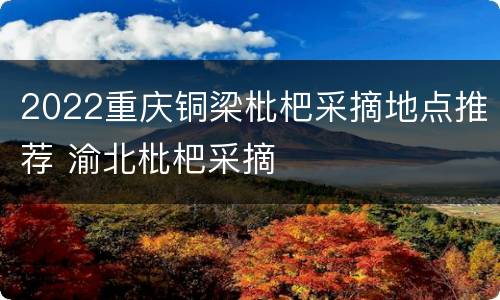 2022重庆铜梁枇杷采摘地点推荐 渝北枇杷采摘