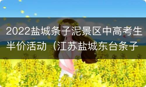 2022盐城条子泥景区中高考生半价活动（江苏盐城东台条子泥）