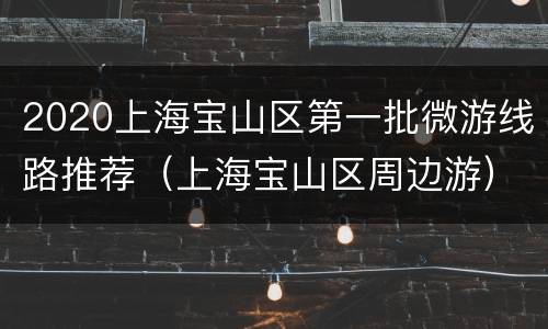 2020上海宝山区第一批微游线路推荐（上海宝山区周边游）