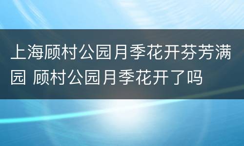上海顾村公园月季花开芬芳满园 顾村公园月季花开了吗