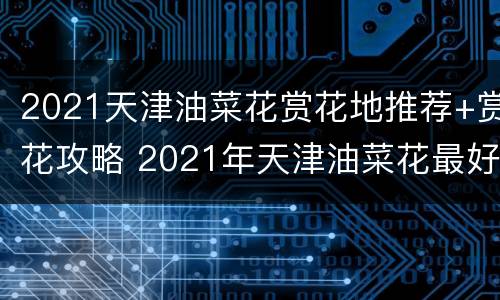 2021天津油菜花赏花地推荐+赏花攻略 2021年天津油菜花最好的地方