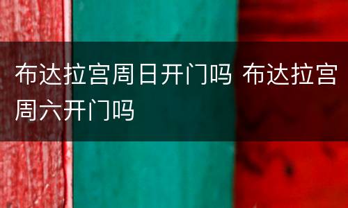 布达拉宫周日开门吗 布达拉宫周六开门吗