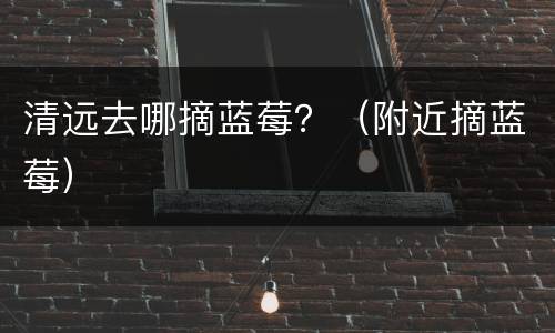 清远去哪摘蓝莓？（附近摘蓝莓）