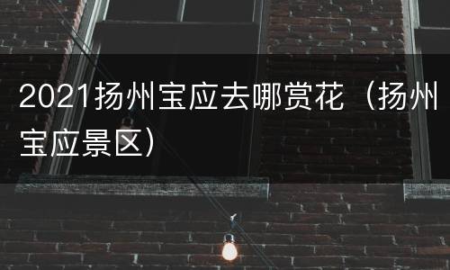 2021扬州宝应去哪赏花（扬州宝应景区）