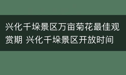 兴化千垛景区万亩菊花最佳观赏期 兴化千垛景区开放时间