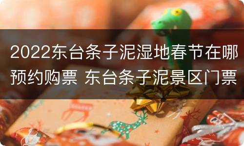 2022东台条子泥湿地春节在哪预约购票 东台条子泥景区门票