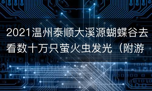 2021温州泰顺大溪源蝴蝶谷去看数十万只萤火虫发光（附游玩攻略）