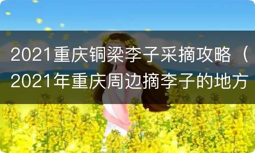2021重庆铜梁李子采摘攻略（2021年重庆周边摘李子的地方）