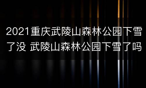 2021重庆武陵山森林公园下雪了没 武陵山森林公园下雪了吗