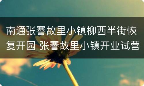 南通张謇故里小镇柳西半街恢复开园 张謇故里小镇开业试营业