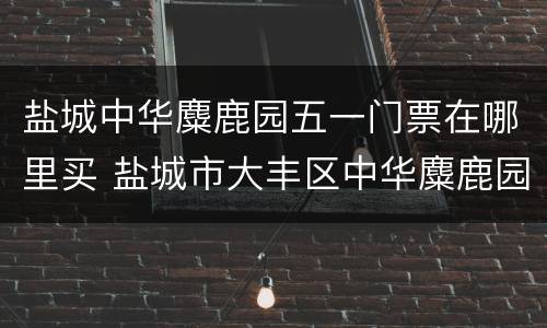 盐城中华麋鹿园五一门票在哪里买 盐城市大丰区中华麋鹿园景区