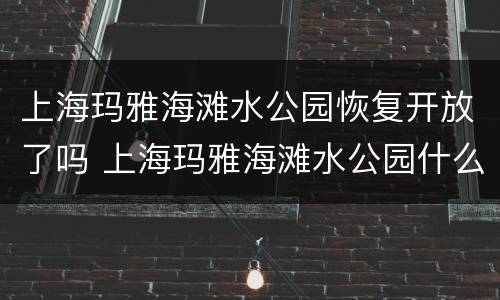 上海玛雅海滩水公园恢复开放了吗 上海玛雅海滩水公园什么时候开放