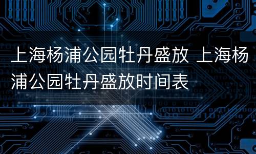 上海杨浦公园牡丹盛放 上海杨浦公园牡丹盛放时间表
