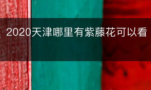 2020天津哪里有紫藤花可以看