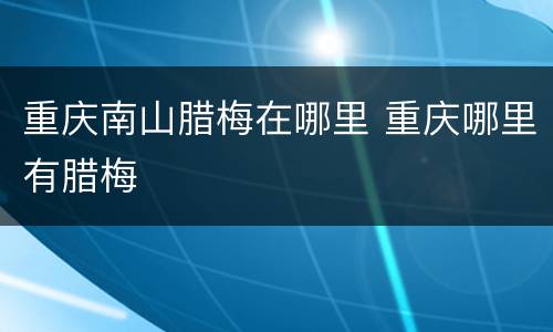 重庆南山腊梅在哪里 重庆哪里有腊梅