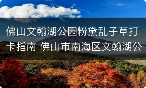 佛山文翰湖公园粉黛乱子草打卡指南 佛山市南海区文翰湖公园的介绍