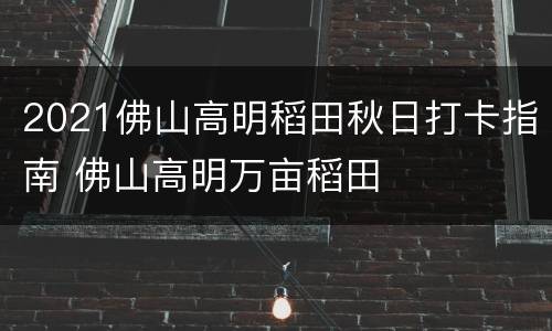 2021佛山高明稻田秋日打卡指南 佛山高明万亩稻田