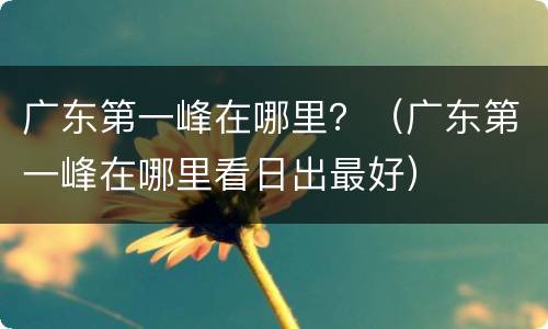 广东第一峰在哪里？（广东第一峰在哪里看日出最好）