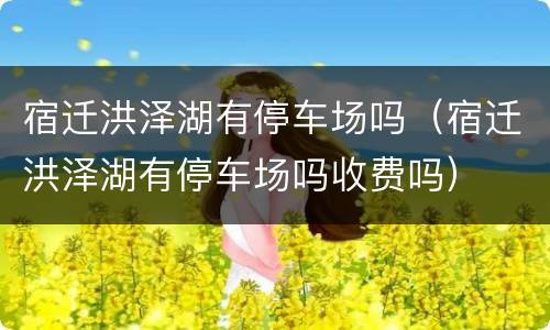 宿迁洪泽湖有停车场吗（宿迁洪泽湖有停车场吗收费吗）