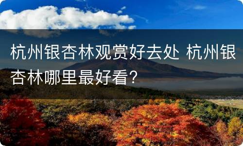 杭州银杏林观赏好去处 杭州银杏林哪里最好看?