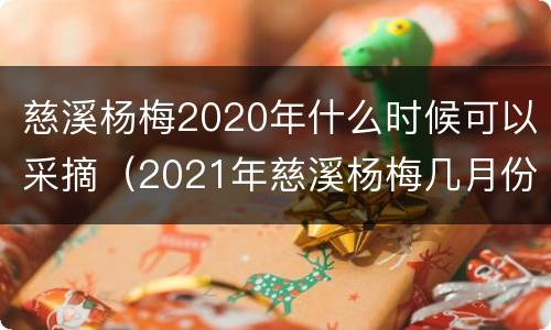 慈溪杨梅2020年什么时候可以采摘（2021年慈溪杨梅几月份成熟）