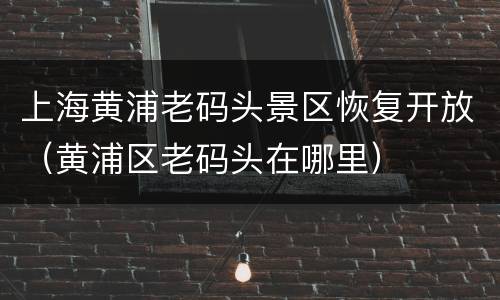 上海黄浦老码头景区恢复开放（黄浦区老码头在哪里）
