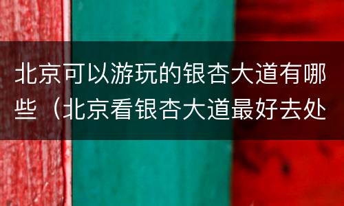 北京可以游玩的银杏大道有哪些（北京看银杏大道最好去处）