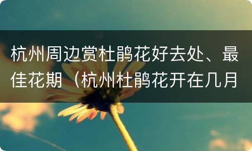 杭州周边赏杜鹃花好去处、最佳花期（杭州杜鹃花开在几月份）