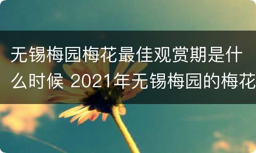 无锡梅园梅花最佳观赏期是什么时候 2021年无锡梅园的梅花开了吗