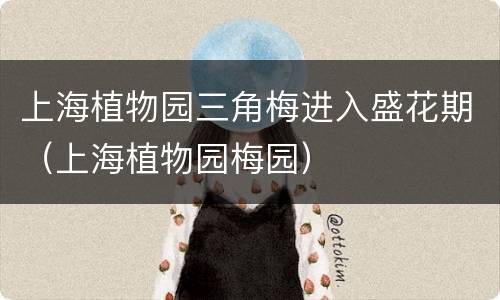 上海植物园三角梅进入盛花期（上海植物园梅园）