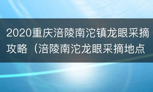 2020重庆涪陵南沱镇龙眼采摘攻略（涪陵南沱龙眼采摘地点）