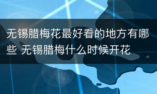 无锡腊梅花最好看的地方有哪些 无锡腊梅什么时候开花
