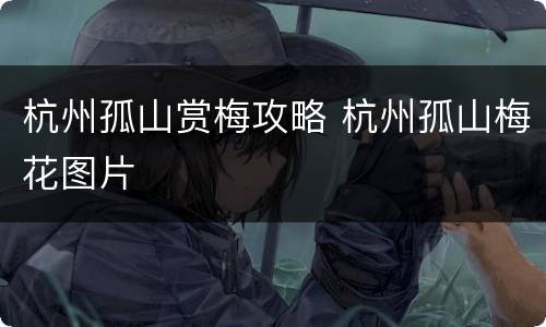 杭州孤山赏梅攻略 杭州孤山梅花图片