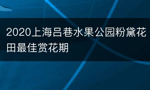 2020上海吕巷水果公园粉黛花田最佳赏花期