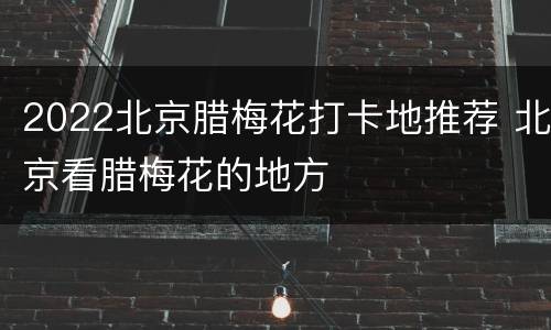 2022北京腊梅花打卡地推荐 北京看腊梅花的地方