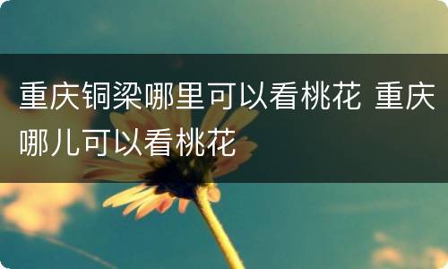 重庆铜梁哪里可以看桃花 重庆哪儿可以看桃花