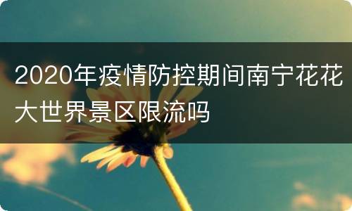 2020年疫情防控期间南宁花花大世界景区限流吗